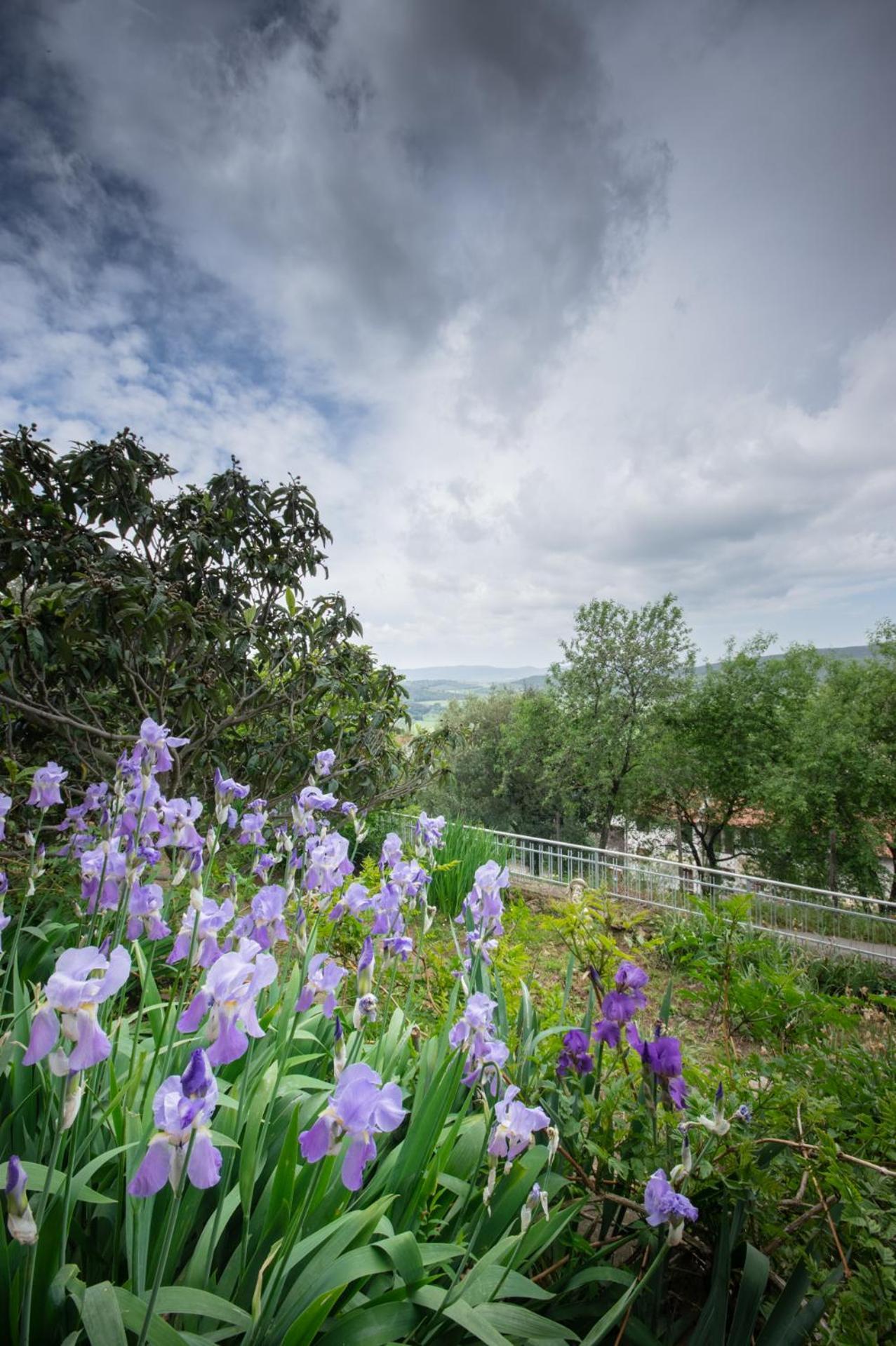 Villa Panoramica Garden Bike Масса-Мариттіма Екстер'єр фото